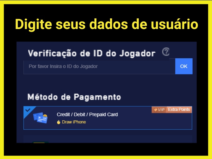 Digite seus dados de usuario